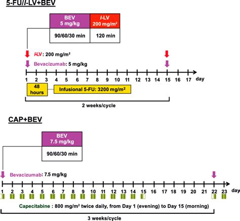 5fu lv protocol